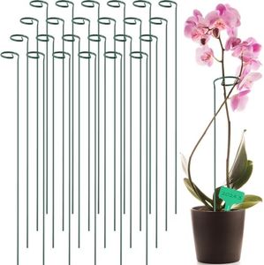 GROWNEER 2