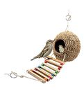 Bird Feeder For Small Birds Only