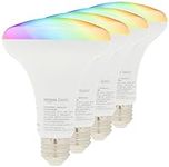 Amazon Basics Smart BR30 LED Light 