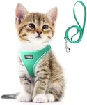 Fida Cat Harness and Leash Set for Walking Kitten and Puppy, Escape Proof Kitten Harness with Breathable Lightweight Soft Mesh, Adjustable Reflective Step-in Design. (XXS, Green)