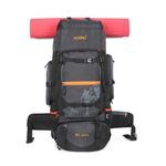 Hexing Trekking Rucksack with Raincover - 18-Month Warranty Hiking Backpack (Grey)