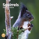 2025 Squirrels Monthly Wall Calendar by Bright Day, 12 x 12 Inch Cute Nature Photography Gift