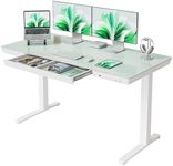 FEZIBO 55 × 24 Electric Standing De