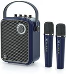Wireless Voice Amplifier with 2 Wir