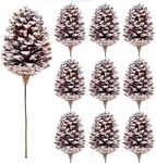 10 Pieces Large Christmas Pine Cones Decorations Picks - Frosted Snow Pine Cones for Christmas Tree, Garland Wreath Ornaments Home Decorating Pinecones Winter Holidays