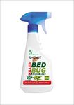 American Pillowcase For Bed Bugs