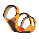 Chest Protector For Dogs