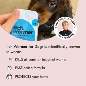 Itch Dog Wormer Tablets for Dogs 3-19kg – 2 Tablets, Treats Roundworms, Tapeworms