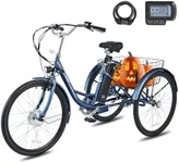 Viribus Electric Trike, 250W Electr