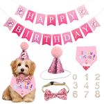 Set of 5 Dog Birthday Bandana Hat Banner Triangle Scarfs Birthday Party Supplies for Small Medium Dogs Cats Costumes Headwear (Pink)