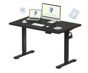 FLEXISPOT India Premium Standing Desk | Anti-Collision Detection | 5Y Warranty | Height Adjustable | Ergonomic | Electric | Sit Stand Table (Black, 120x75 CM)