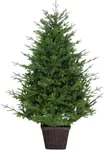 Fraser Hill Farm 4.0-Ft Adirondack Potted Christmas Tree Decor, No Lights