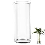 TSKDKIT Extra Large Glass Vase for Flowers 40cm Glass Cylinder Vase Thickened Clear Vase for Living Room Modern Large Vase 40 x 12cm