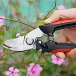 Professional Sharp Pruners Garden Pruners Tree Trimmers Secateurs Bypass Pruning Shears, Secateurs, Hand Pruner, Garden Shears, Gardening Shears Clippers for Plants, Gardening Cutter (FLOWER CUTTER)