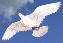 Jackite Dove of Peace Kite, 42" Wingspan