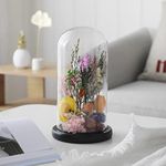 Gala Houseware Glass Display Dome C