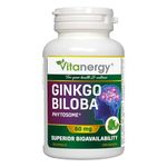 Vitanergy Ginkgo Biloba, Enhanced Bioavailability for Cognitive Function & Peripheral Circulation Support, 60mg, 60 Capsules - Canadian Made