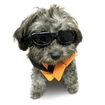 Enjoying Dog Goggles Small Breed, UV Protection Sunglasses for Dogs Small Breed, Outdoor Doggy Goggles, Anti-Fog/Wind/Dustproof Dog Glasses for Small Dogs Eye Protective, Black