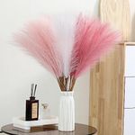 Wertuirk 30pcs Faux Pampas Grass - 