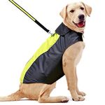 YFbrite Raincoat Dog-lightweight Dog Raincoat Adjustable Warm Waterproof Dog Coat Warm Dog Cloth for Small Medium Large Dogs (Green, Medium)…