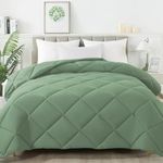 Cloth Fusion Cosy Double Comforter Quilt for Winters (90"X100", Light Green)