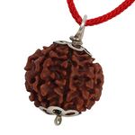 ASTRODIDI 5 Mukhi Rudraksha Pendant Lab Certified Nepali Five Mukhi Original Certified Rudraksha Pendant for Men & Women, Origin Nepal, Color Brown