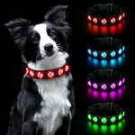 AUAUY Light Up Dog Collar, LED Dog Collar Light USB Rechargeable, Waterproof Flashing PVC Leather Adjustable Glowing Super Bright Dog Light Up Collar for the Dark for Small Medium Large Dogs (Red-M)