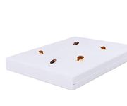 Bed Bug Mattress Covers