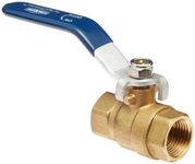 Dixon Valve & Coupling FBVG50 Brass Ball Valve, 1/2" NPT Female