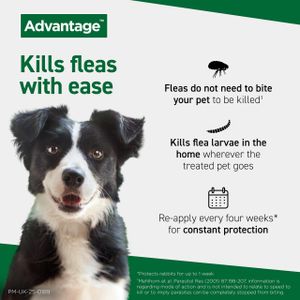 Advantage Spot On Flea Treatment for Cats & Small Dogs Under 4kg