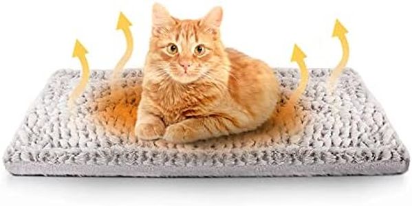 FurDreams 