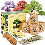Bonsai Tree kit -NIFSEL Bonsai Grow