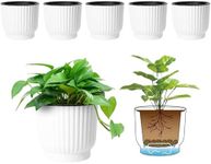 T4U Plastic Self Watering Planter, 