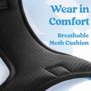 rabbitgoo Small Dog Harness, Sky Blue, Size M – No Pull Adjustable
