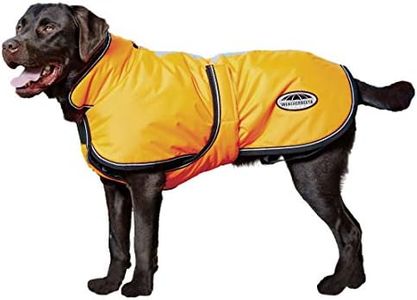 WeatherBeeta ComFiTec Reflective Parka 300D Deluxe Dog Coat, Orange, 20"