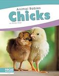 Chicks (Animal Babies)