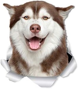 Winston & Bear Lot de 2 stickers muraux Husky de Sibérie - Autocollants 3D pour murs, voitures, toilettes et plus encore - Emballage cadeau Husky