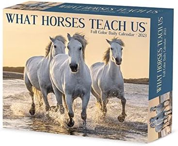 What Horses Teach Us 2023 Calendar