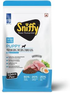 Sniffy Pup