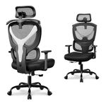 Winrise Office Chair Ergonomic Desk Chair Comfy Computer Chair, Big and Tall Home Office Chair with Back Support, Mesh Office Chair High Back Gaming Chair with Adjustable Armrest (White)