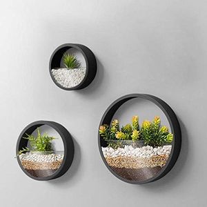 Pack of 3 Wall Planters,Modern Round Glass Wall Planter Succulent Planter Circle Iron Hanging Planter Vase for Herb,Small Cactus Perfect for Balcony, Room and Patio Decor (Black)