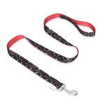 Friends the TV Show Iconic Graphics Dog Leash, 4 Ft Dog Leash (48 Inches) | Cute Black Dog Leash Easily Attaches to Any Dog Collar or Harness | Friends TV Show Dog Leash for All Dogs