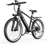 Pikabike Electric Bike for Adults, 