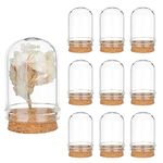 PH PandaHall 10pcs Cloche Bell Jar, Display Dome with Cork Base 8ml Mini Glass Bottles Dome Decorative Jars Display Case for Flower Storage Home Christmas Party Favor Decoration, 0.86x1.4inch