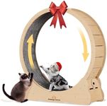 Homegroove Cat Exercise Wheel for Indoor Cats, 46" Large XL Cat Running Treadmill Wheel with Carpeted Runway for Kitty’s Longer Life, Natural Wood Color(XL)