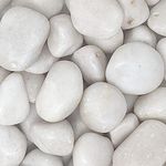 Foodie Puppies Big White Polished River Rock Stones (White Jumbo, 20Kg) (4cm - 6cm) for Home Decoration, Aquarium/Fish Tank, Garden, and Swimming Pool Polished River Rock Unplanted Substrate