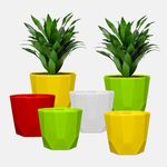 YUCCABE ITALIA SHERA Hexa 8 Inch Pack of 6 Piece Plastic Plant Pot for Home Decor Indoor Plant Pots for Living Room Plastic Flower Pot for Garden (Multicolor)