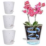 Self Watering Orchid Pots for Lazy 