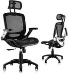 GABRYLLY Ergonomic Office Chair, Hi