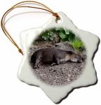 3dRose Tapir Sleeping on Sand Snowflake Ornament